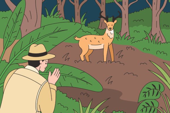 Deer Encounter Embroidery Design Review