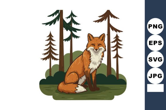 Red Fox Sitting in Forest with Evergreen Graphics and Illustrations Review